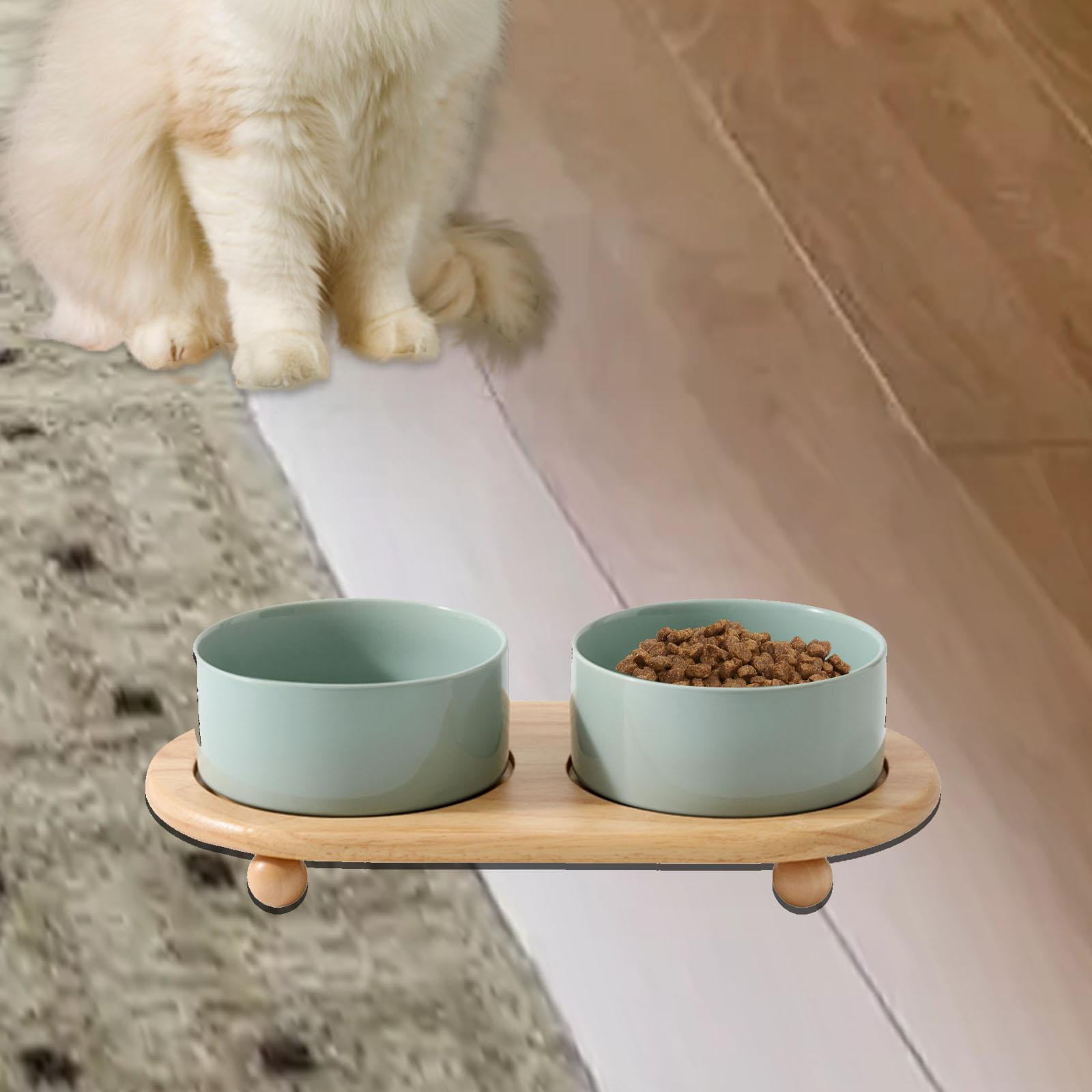 Gazechimp Cat Bowls Safe and Sturdy Feeder Set Ceramic Cat Dish Dog Bowls Pet Bowl Set for light green