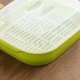 thumbnail image 4 of 1pc Steamed Buns Steamer Microwave Oven Special Box Kitchen Steamer Heats up for Kitchen (Green), 4 of 4