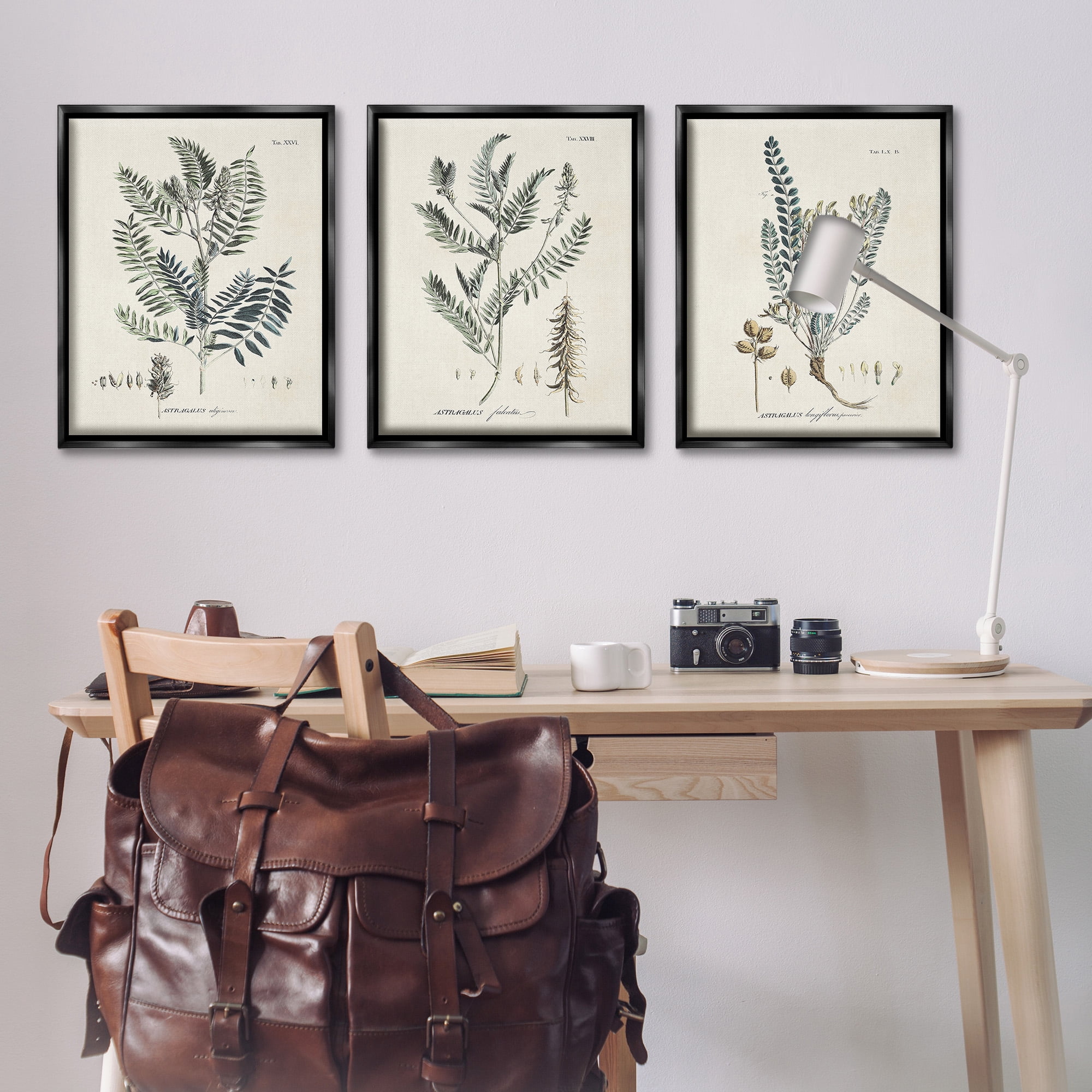 Stupell Industries Woodland Plant Studies Botanical & Floral Painting Black Floater Framed Canvas Art Print Wall Art, 25 x 31, Set of 3