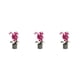 thumbnail image 2 of Orquídea artificial Bonsái Potted Matsuzay 8 Flores Púrpura, 2 of 6