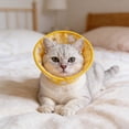thumbnail image 4 of Pet Postoperative Recovery Collar Soft Breathable Anti-Licking Biting Headgear for Cats Dogs, 4 of 6