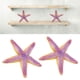 thumbnail image 5 of Estrella De Mar De Resina, Juguete De Estrella De Mar Aspecto Lindo Colores Brillantes Textura única Para Adorno Para Regalos, 5 of 7