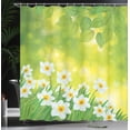 thumbnail image 4 of Ambesonne Floral Shower Curtain, Daffodils Spring Petals, 69"Wx70"L, Green Yellow, 4 of 5