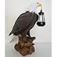 thumbnail image 3 of DWK Dispel The Shadows 17.5 Inch Garden Gnome Outdoor Statue w/ Solar Lamp, 3 of 4