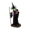 Life-Size Willow Witch Prop