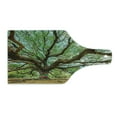 thumbnail image 2 of Nature Cutting Board, Magnificent Rain Tree in Thailand with Long Branches Rural Scenery Growth Picture, Tempered Glass Cutting and Serving Board, Wine Bottle Shape, Brown Green, by Ambesonne, 2 of 5