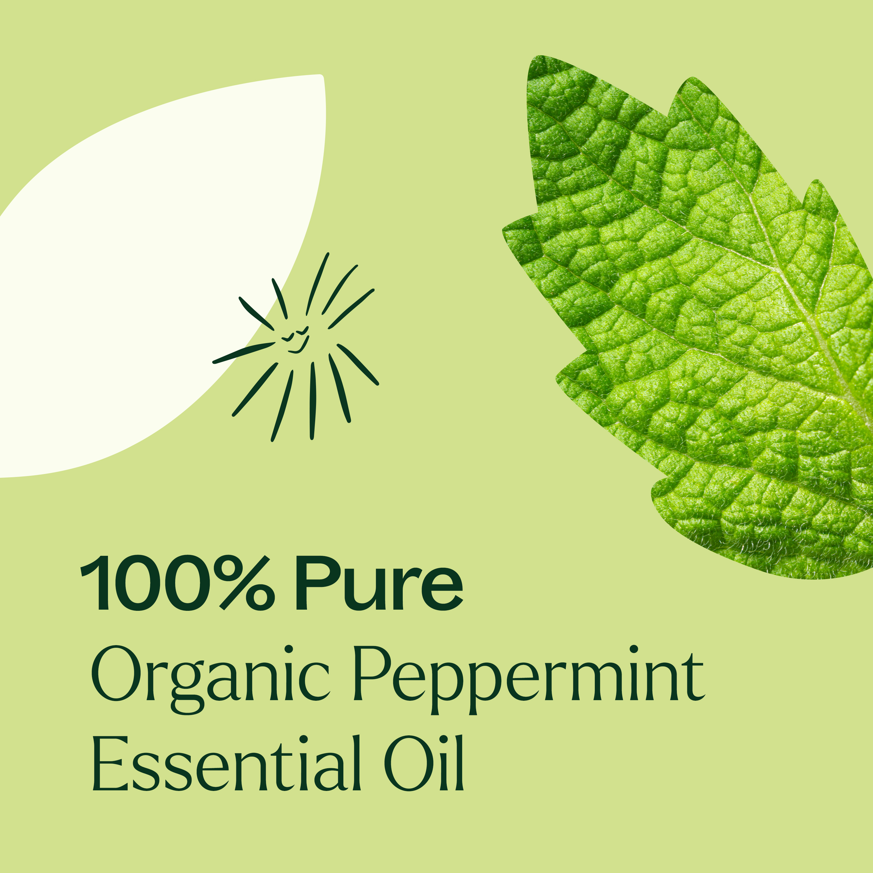 Plant Therapy USDA Organic Peppermint Essential 10 ml (1/3 oz) Oil 100% Pure, Undiluted for Energy & Pain - image 2 of 7