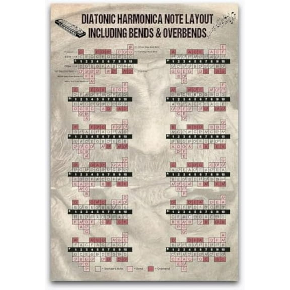 Harmonica Knowledge Metal Tin Signs Music Studio Collectible Plaque Diatonic Harmonica Note Layout Vintage Posters Room Home Wall Art Decor,8X12Inch