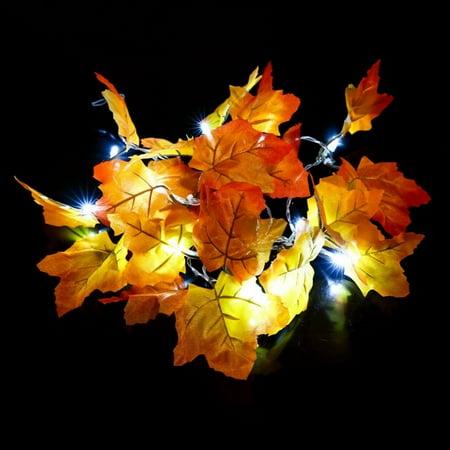 Pinterest Outdoor Fall Decor Maple Leaves String Light, Waterproof Thanksgiving Decorations Fall Seasonal Lights Battery Powered Lighted Garland for Holiday Party Indoor Outdoor Thanksgiving Decor ()
