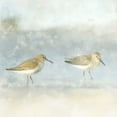 thumbnail image 2 of Allen, Kimberly 12x12 Black Ornate Wood Framed with Double Matting Museum Art Print Titled - Sandpiper Beach, 2 of 4