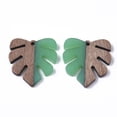 thumbnail image 1 of Resin & Wood Pendants Tropical Leaf Charms Monstera Leaf Pendant Green 30x28x3.5mm Hole: 2mm, 1 of 1