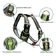thumbnail image 2 of Pechera Para Perro Boxer Husky Labrador O Similar Talla #5, 2 of 4