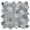 Grey Blend, variant on Cruz Bay Studio XC3AG Coin Marble - MultiColor