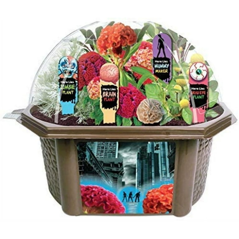 Zombie Plant Greenhouse Grow KIT- (Touch It and It Plays Dead!) Unique  Nature Kit- Grow a Fun House Plant That Plays Dead When You Touch It! Comes