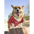thumbnail image 6 of Pets First Collegiate Florida State Seminoles Football/Basketball Mesh Jersey for Pet Dog. available in 40+ Teams - Large, 6 of 6