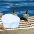 thumbnail image 5 of FELTECHELECTR Turtle Box with Translucent Design for Indoor Habitat 1Set, 5 of 5