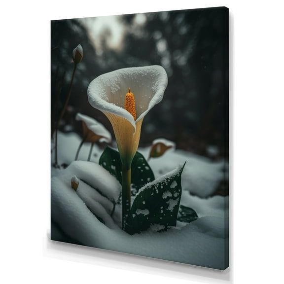 Designart A Blooming White Calla Lily Flower Winter I Canvas Wall Art
