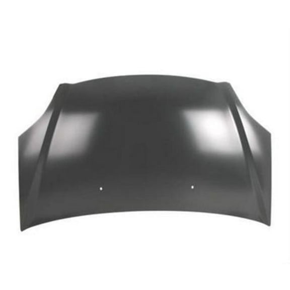 Hood for 2002-2005 Civic H-back