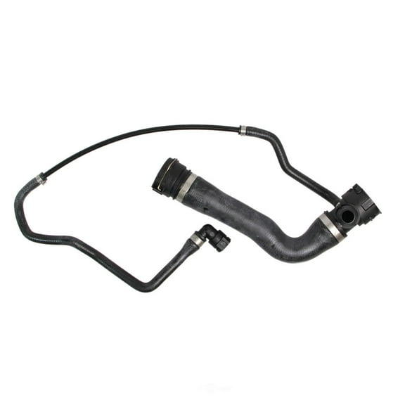Rein Molded Radiator Hose