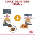 thumbnail image 6 of Royal Canin Intense Beauty Cat Wet Food in Jelly 12x85g, 6 of 9
