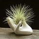 thumbnail image 2 of Air Plant Holder Ceramic Holder, 2 of 5