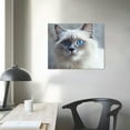thumbnail image 3 of Animal Cat Canvas Wall Art, Blue Eyes British Shorthair Picture Canvas Painting, Wildlife Digital Art, Colorful Ready to Hang for Living Room Bedroom Office Wall Decor Home Decor, 3 of 4