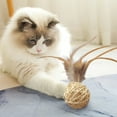 thumbnail image 4 of SSZMDLB under $5 Cat Chew Toy, Cat Toy, Natural Rattan Woven Ball, Feather Attached Interactive Play, Chew Teething Exercise, Indoor Kitten Entertainment, Bell Sound Inside, 4 of 8