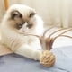 thumbnail image 4 of Juguetes masticables interactivos para gatitos, juguetes naturales para gatos de interior, juguete sonoro para gatos, pelota trenzada resistente a masticar para mascotas A, 4 of 8