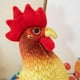 thumbnail image 4 of Gallo de peluche de juguete Hugo Muñeca animal Altura 34cm, 4 of 10