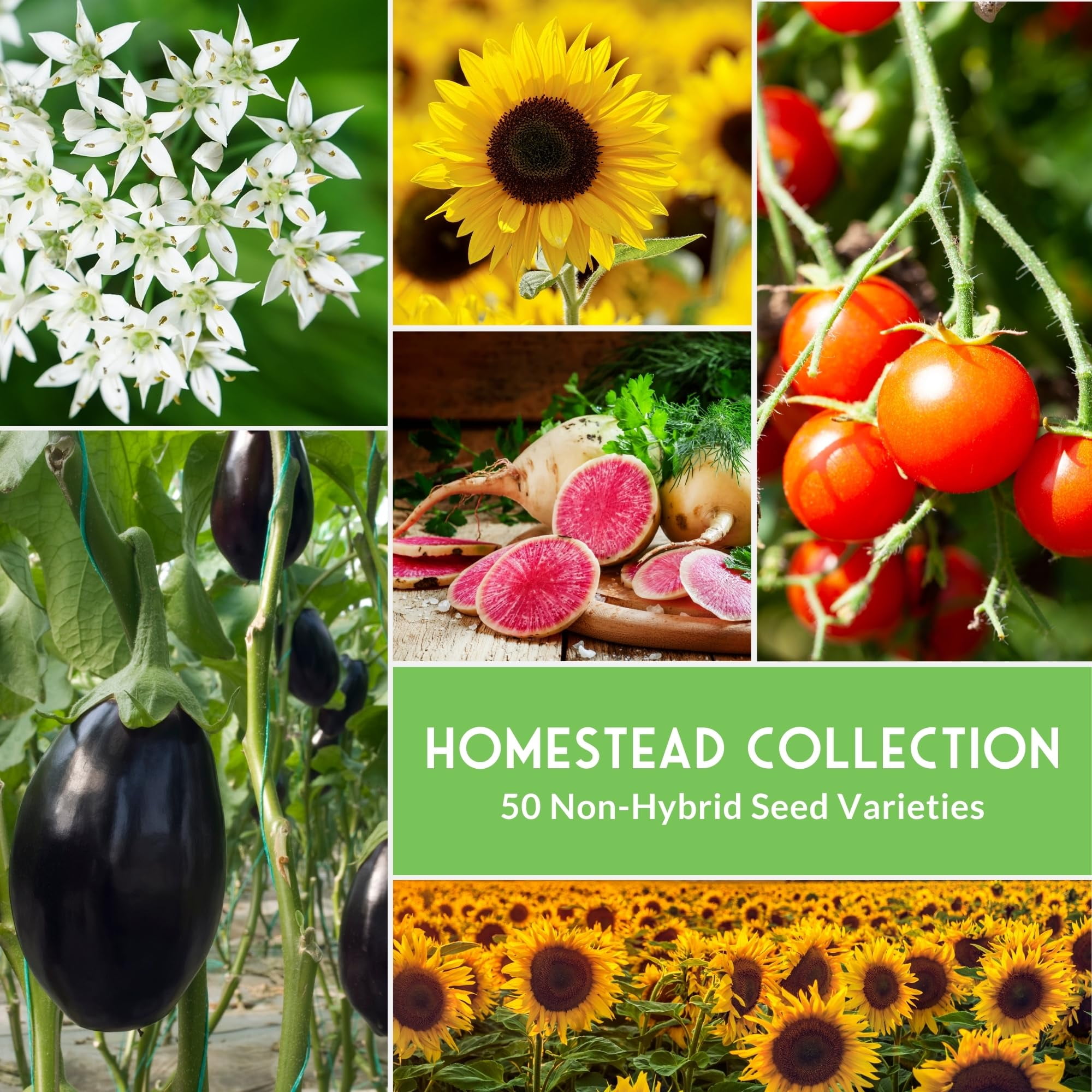 Vegetable Garden Seeds 50 Variety Collection - Non GMO Heirloom Tomato Seeds & More - Full Sun Annual