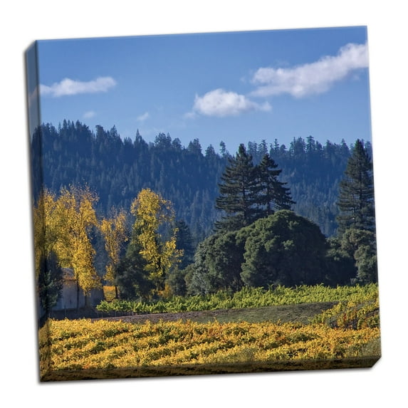 Gango Home Decor Autumn Gold III by Rita Crane (Ready to Hang); One 24x24in Hand-Stretched Canvas