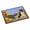 Multicolor, variant on Kittens on Wall Door Mat