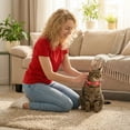 thumbnail image 5 of Reflective Cat Collar, Breakaway Cat Collars, Quick Release Buckle, Silicone Sleeve, Cat Bell Collar, Red, 8-12 in, 1 Pc, Feline Anti-Loss Gear, Daily Use, 5 of 6