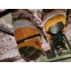 thumbnail image 3 of Size 7 - Jo r-dan 1 Mid Yellow Toe 2022, 3 of 5