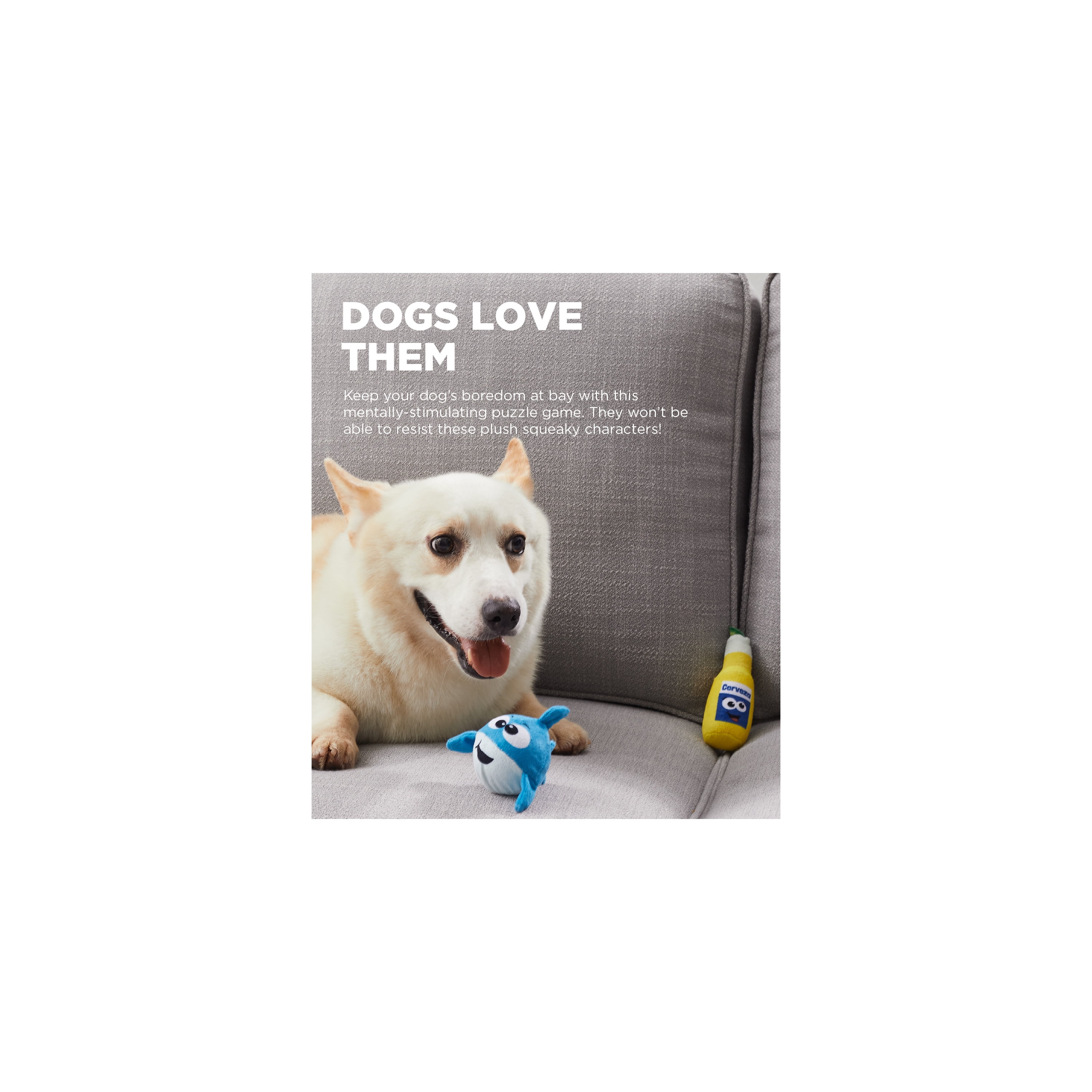Pet Supplies : Outward Hound Durablez Tough Plush Squeaky Dog Toy, Fox,  Orange, XS 