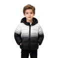 thumbnail image 3 of Liyamei Boys Hooded Gradient Padded Jacket with Zipper for Winter Outdoor Play Size 3-4 Years, 3 of 6