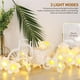 thumbnail image 5 of Flor De Simulación Guirnalda De Luces Led Plumeria Guirnalda Funciona Con Pilas 3 Modos De Luz 20 Lámpara Decorativa De Hada De Las Flores Led Para Jardín Patio Dormitorio Boda Fiesta Hogar Minnieouse HA027406-01, 5 of 7