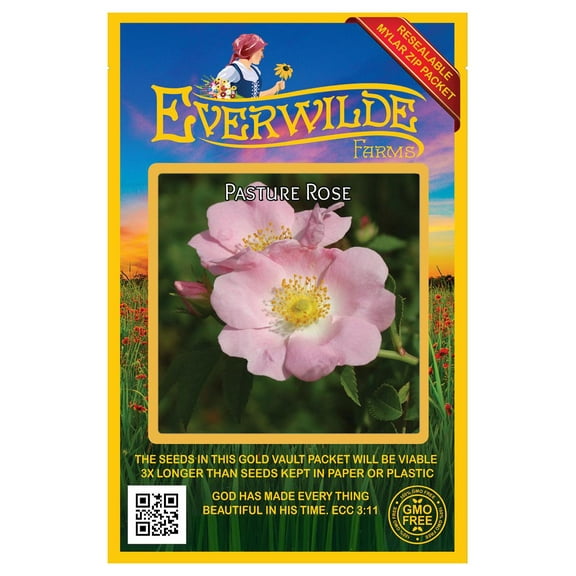 Everwilde Farms - 30 Pasture Rose Native Wildflower Seeds - Gold Vault Seed Packet
