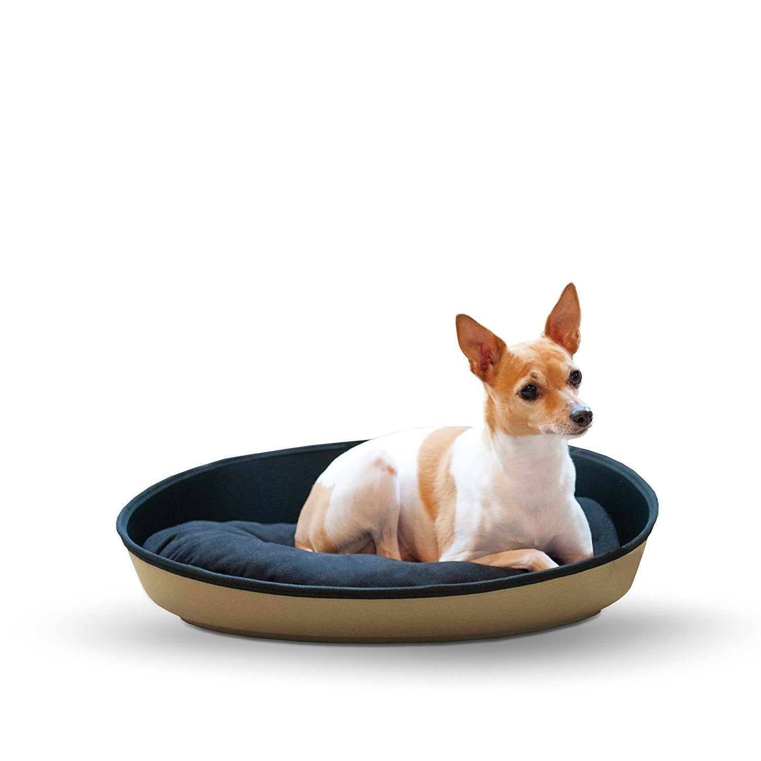 rigid dog bed