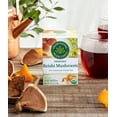Traditional Medicinals Tea, Organic Reishi Mushroom with Rooibos,16