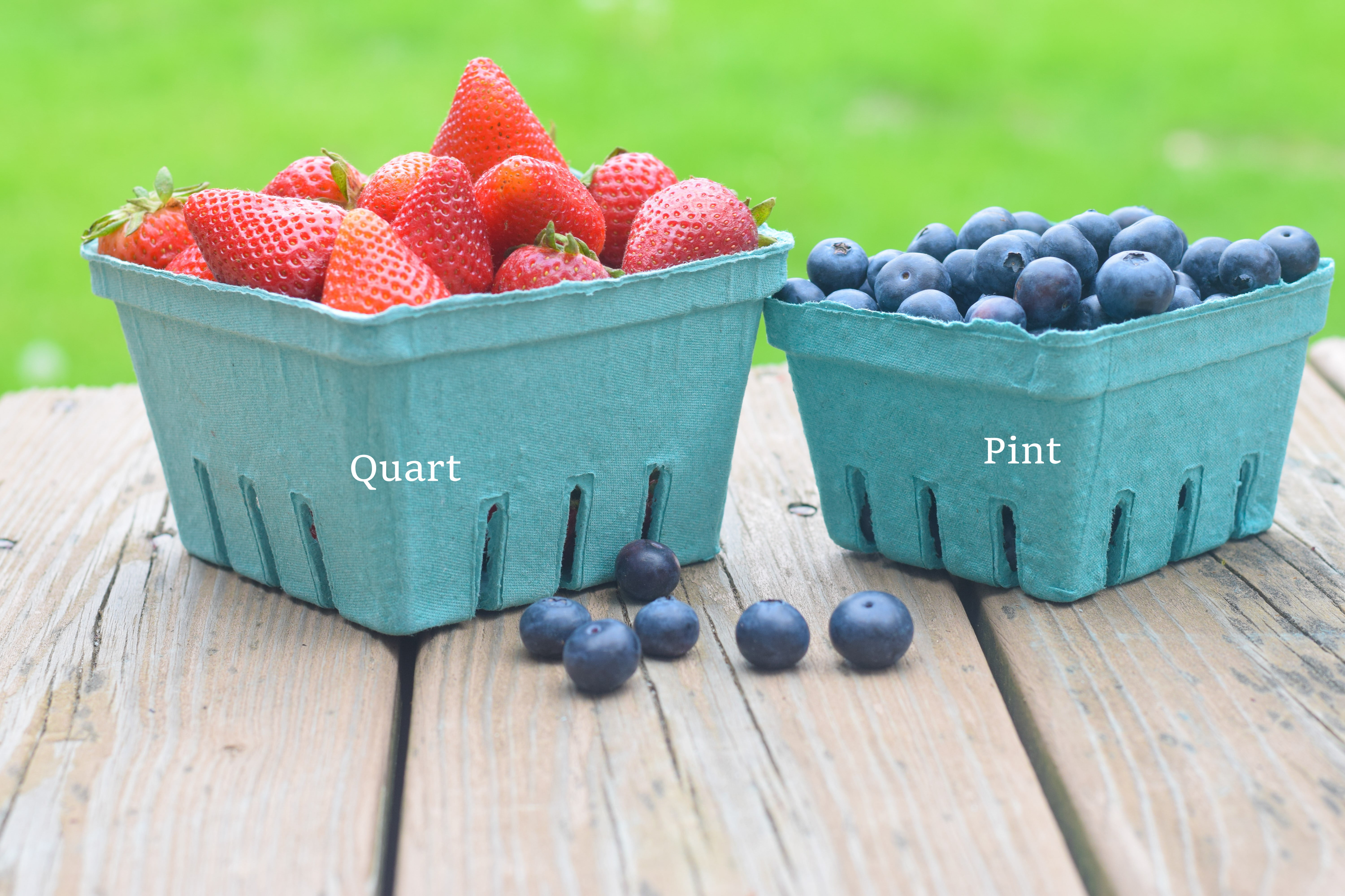 MT Products 1 Pint Vented Green Molded Pulp Fiber Berry Baskets - Pack of  15