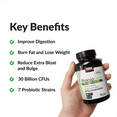 thumbnail image 3 of Force Factor ProbioSlim Extra Strength Probiotic Supplement with 30 Billion CFUs for Digestive Health, Bloating & Gas Relief, 120 Capsules, 3 of 11