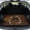 Black Cat Pocket Daisy, variant on Xixirimido Heavy Duty Cargo Liner Floor Mat All Weather Trunk Protection, Universal Anti-slip Car Trunk Mat for Car Van SUV Sedan 29" x 39", Labrador Retriever Paw