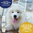 thumbnail image 2 of South Bark's Blueberry Coconut Pet Foam 8.5 Ounce, 2 of 7