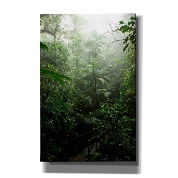 Cortesi Home 'Into The Cloud Forest' by Nicklas Gustafsson Canvas Wall Art, 26"x40"