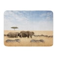 thumbnail image 1 of NUDECOR Adult and Young Elephant Zebras Lone Acacia Tree Doormat Floor Rug Bath Mat 23.6x15.7 inch, 1 of 1