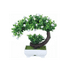 thumbnail image 1 of Árbol Bonsaí Artificial Con Maceta Hogar Y Oficina flores blancas Lab.G, Blanco, 1 of 4