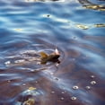 thumbnail image 4 of Uxcell Fil de Pêche, Fil de Pêche en Acier pour Eau Salée Lourde à Haute Résistance avec Pivot à Roulettes et Bouton-Pression Noir/bleu/vert, 4 of 5