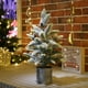 thumbnail image 5 of Árbol de Navidad artificial flocado, árbol de Navidad de cedro de escritorio, decoraciones navideñas de interior, 5 of 5