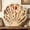 B, variant on Japceit Wooden Seashell Display Box, Summer Beach Themed Storage, Starfish Shell Organizer,For Home Shelf Decor